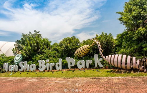 廣東唯一的水鳥生態(tài)園,景色迷人,創(chuàng)意無限