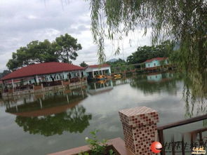 疊彩區(qū)休閑農(nóng)莊生態(tài)園 東西都有接手就可以開業(yè)位置好客流大