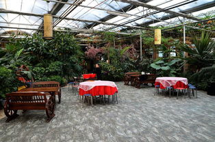 寧安農(nóng)場生態(tài)園 自然與農(nóng)業(yè)的和諧共生