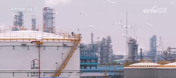 煉化工廠成鳥兒新“家” “綠色工廠”盡顯工業之美與生態和諧