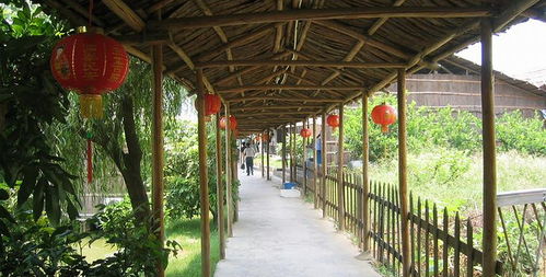 盈香生態(tài)園門(mén)票全攻略 預(yù)訂方式、價(jià)格信息與游玩指南